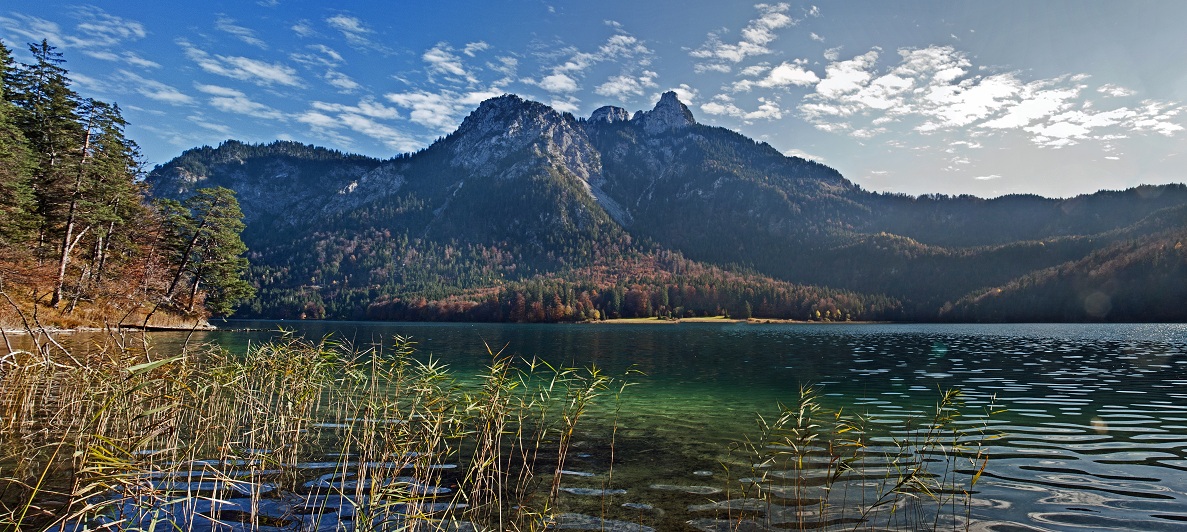 Alpsee Panorama