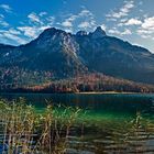 Alpsee Panorama