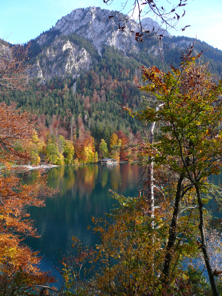 Alpsee/ Schwangau