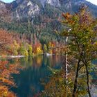 Alpsee/ Schwangau