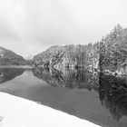 Alpsee S/W