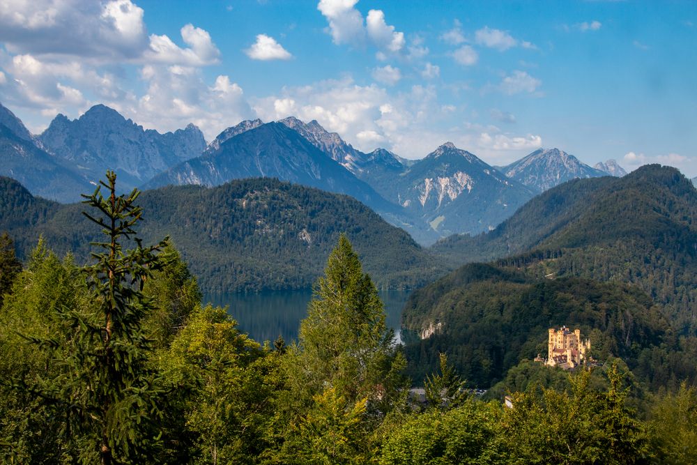 Alpsee von Schloss Neuschwanstein aus