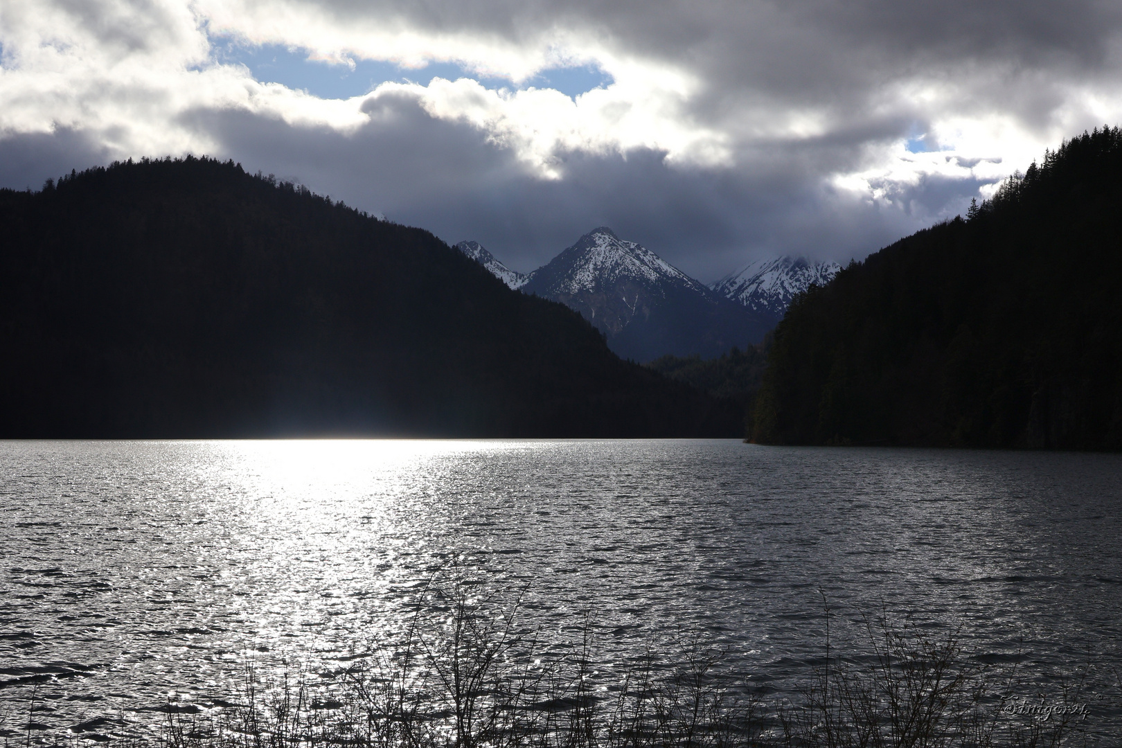 Alpsee von Ufer