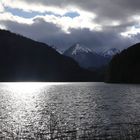 Alpsee von Ufer