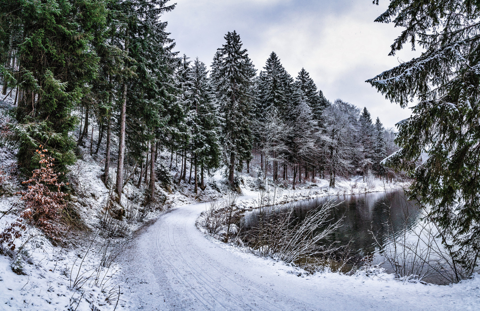 Alpsee Waldrundweg