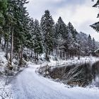 Alpsee Waldrundweg