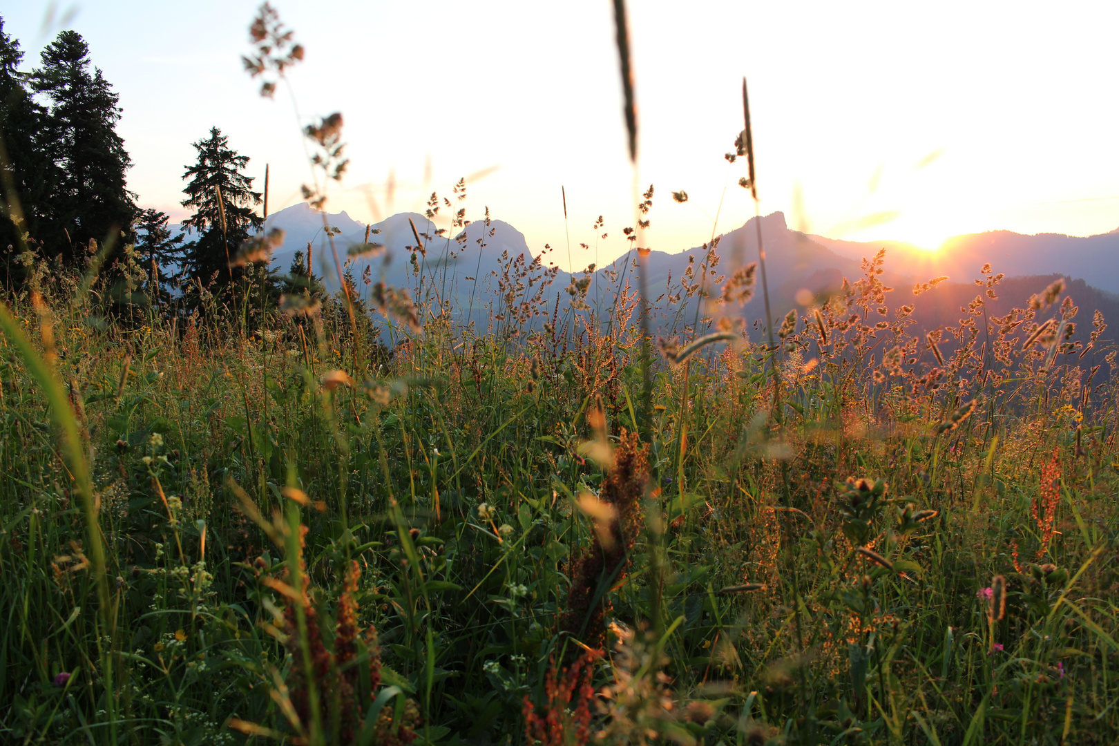 Alpsommerabend