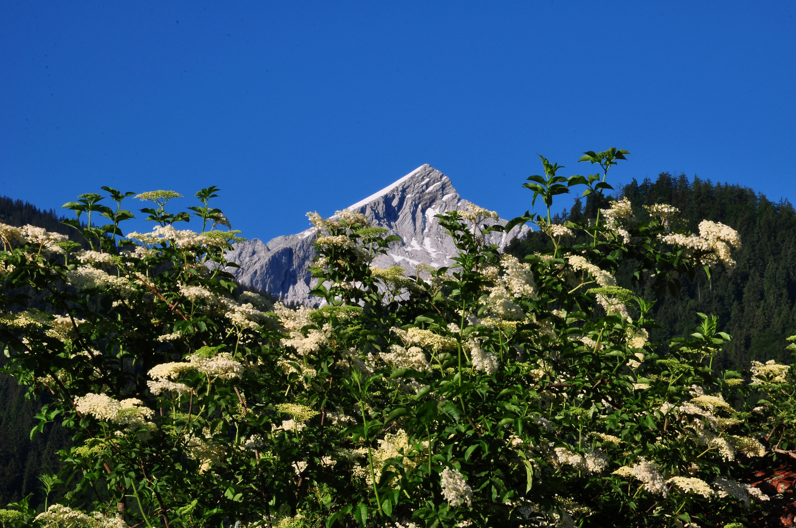 Alpspitze