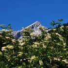 Alpspitze