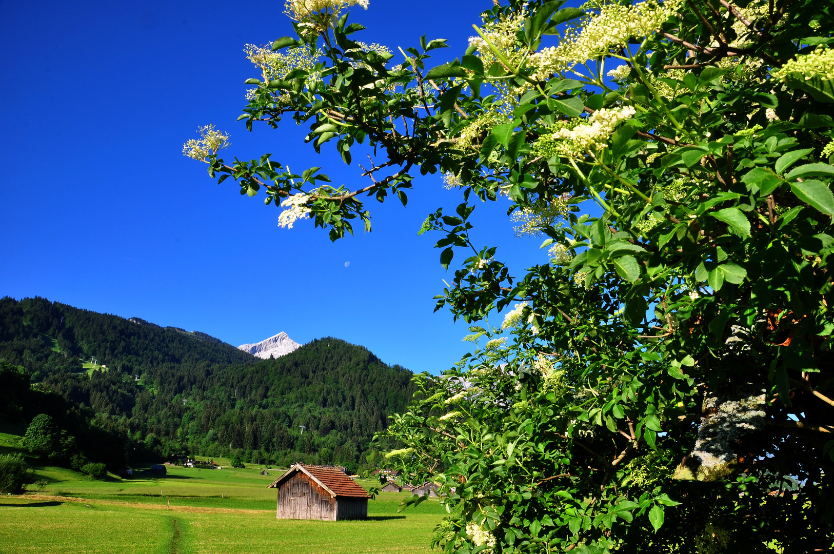 Alpspitze