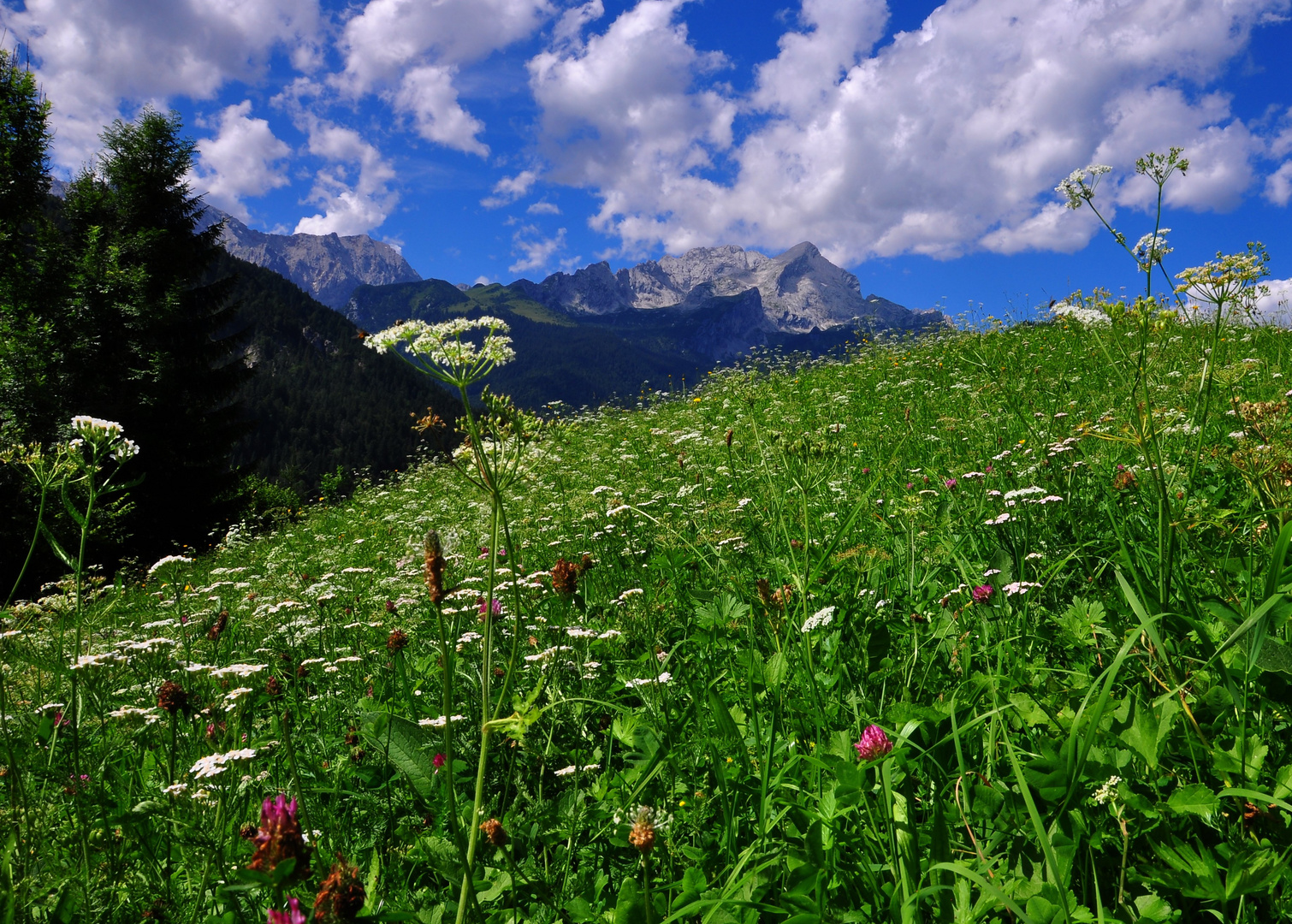 Alpspitze