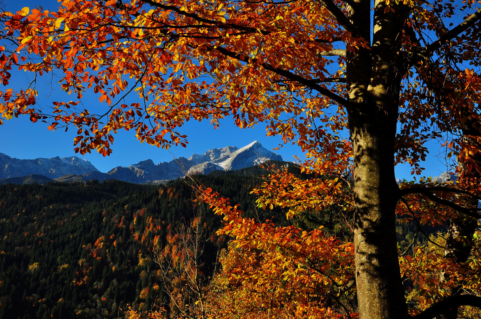 Alpspitze im Herbst