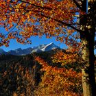 Alpspitze im Herbst