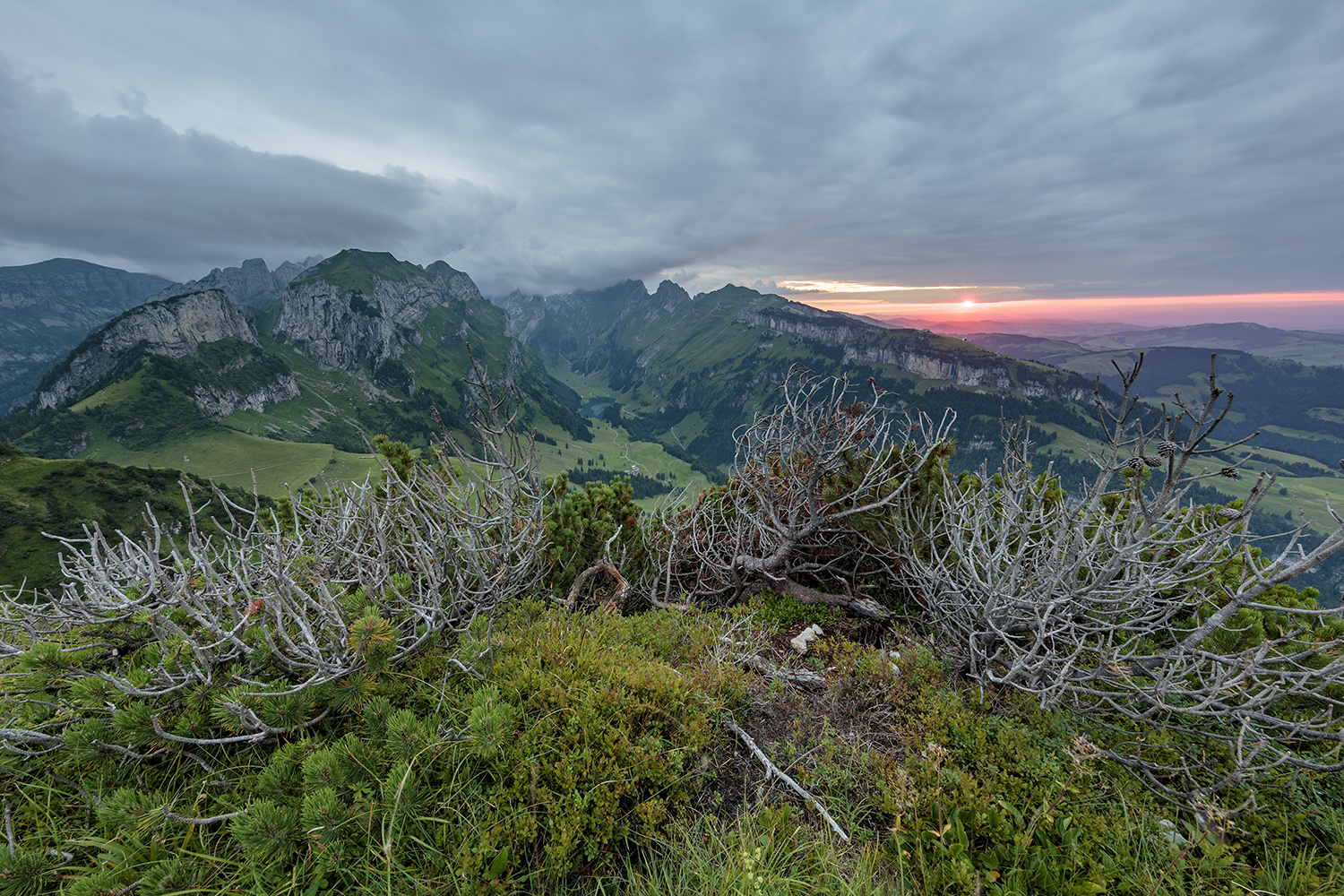 Alpsteinausblick