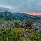 Alpsteinausblick