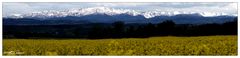 Alpsteinpanorama#2_170511