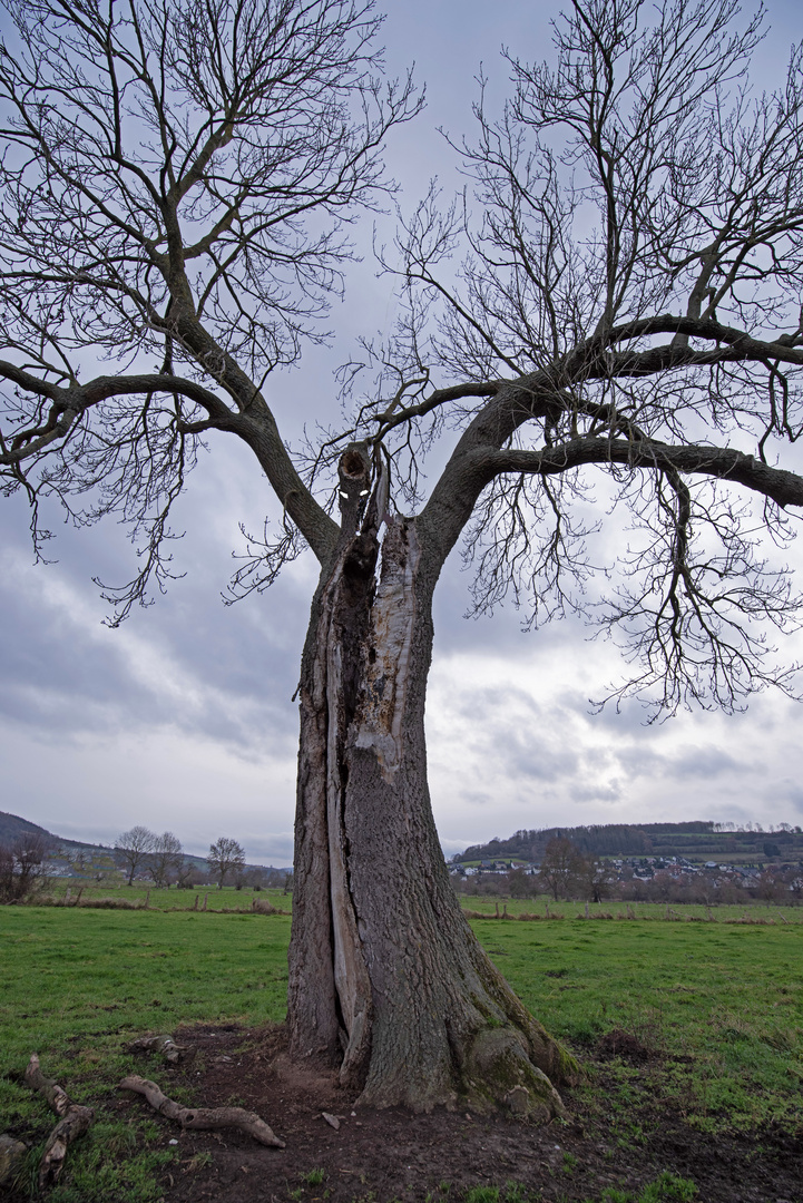 Alptraumfigur