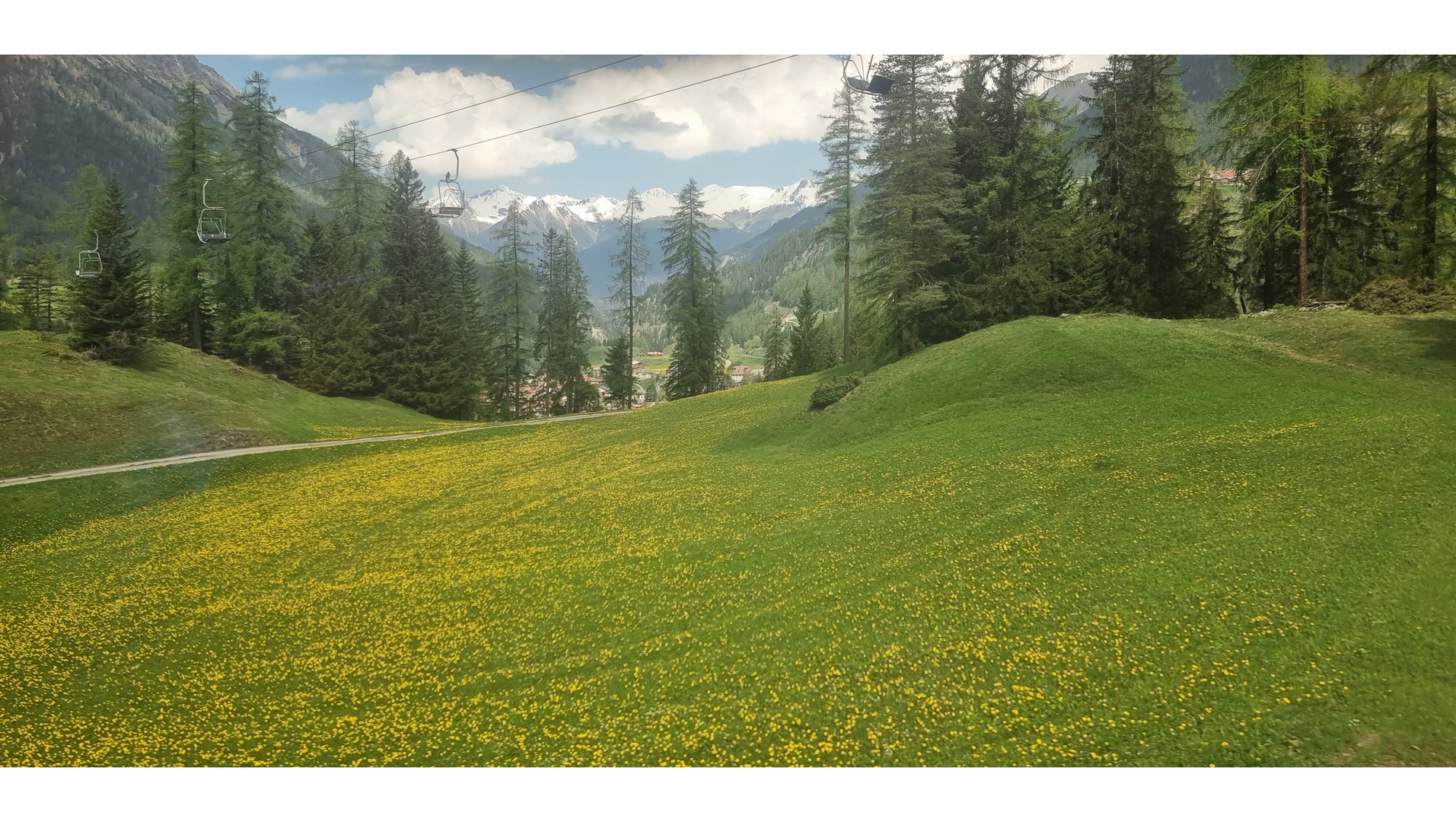 Alpwiese ob Bergün, aus dem Zug fotografiert