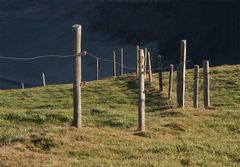 Alpzaun im Nachmittagslicht