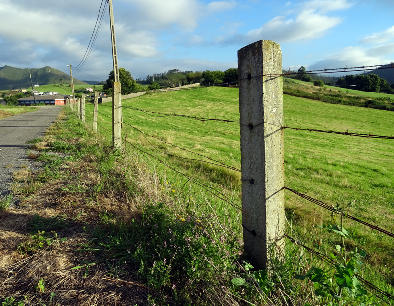 Alrededores de Villayón