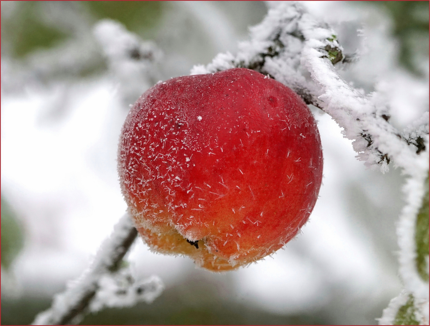 Als BRAT-Apfel...