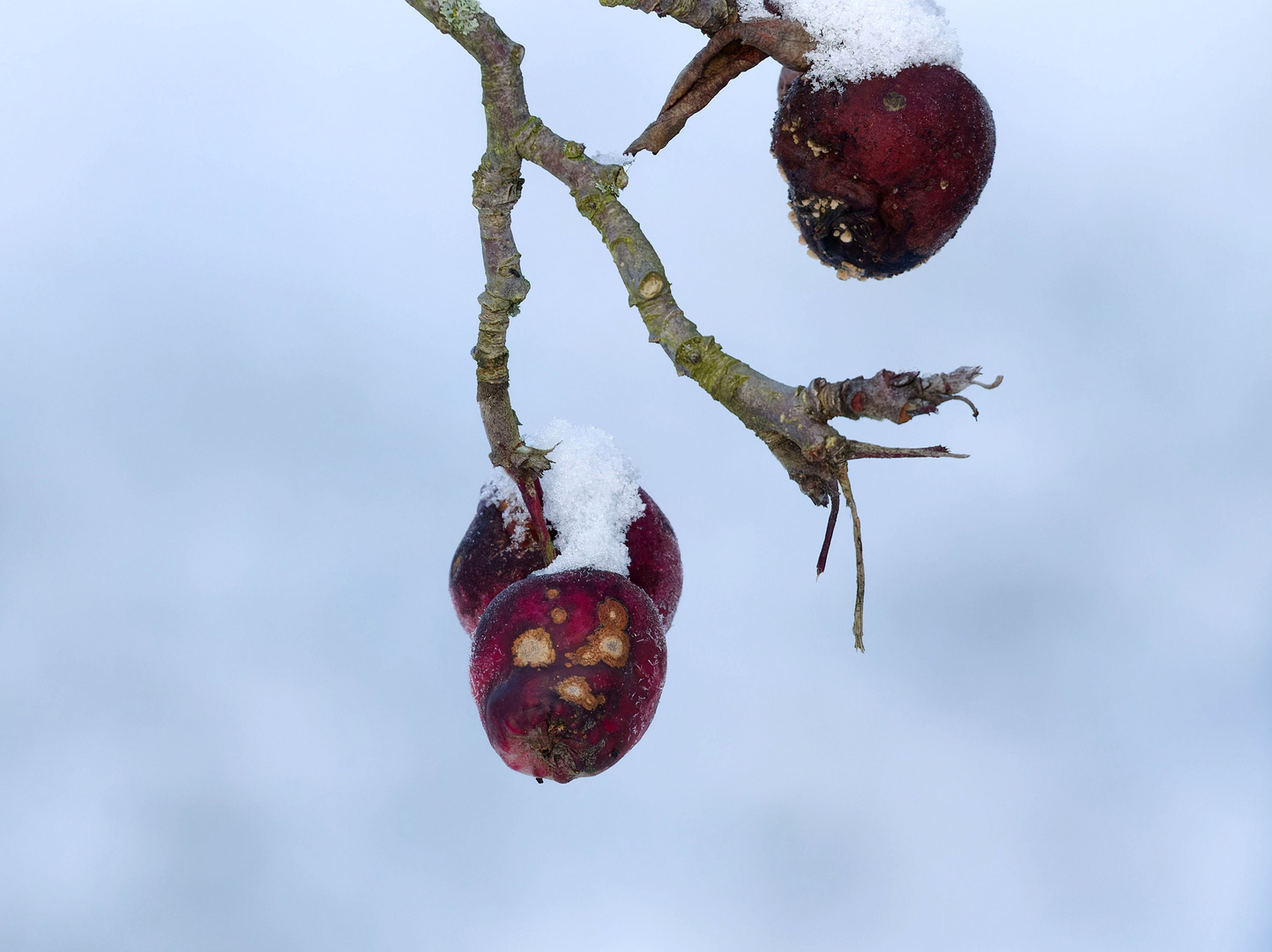 Als Bratapfel wäre es warm gewesen