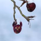 Als Bratapfel wäre es warm gewesen