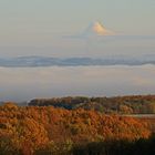 Als dann der Nebel sich auch im Müglitztal ausbreitete...