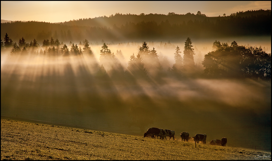 Als das Licht durch den Nebel brach...