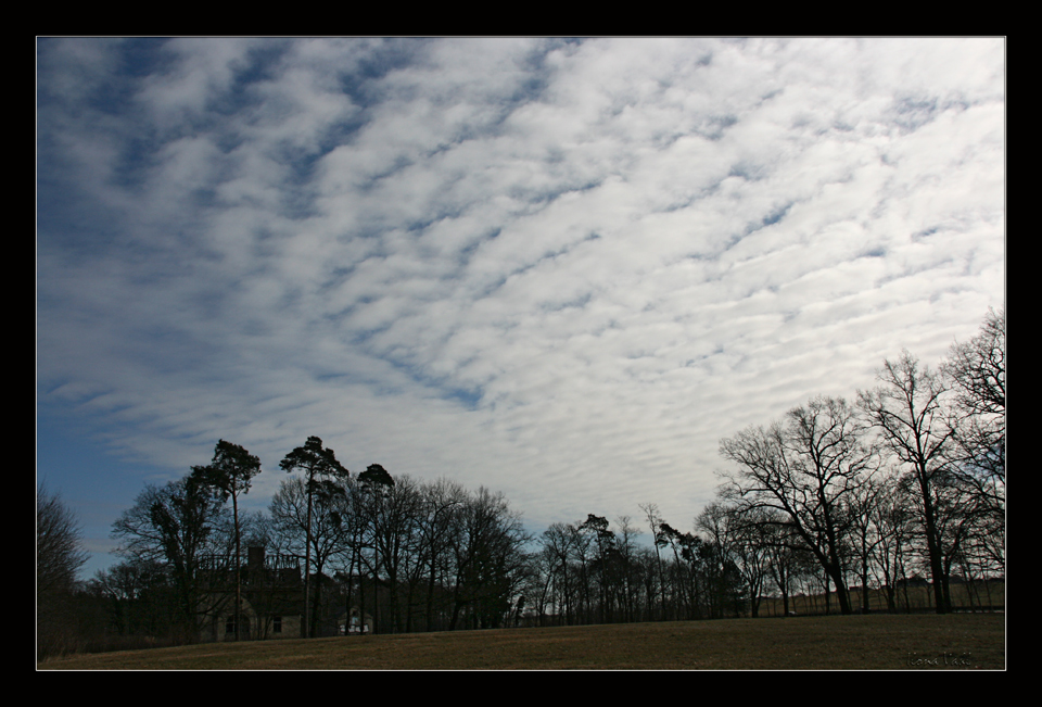 Als der Februar ging