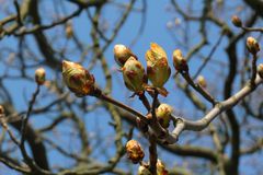 Als der Frühling begann