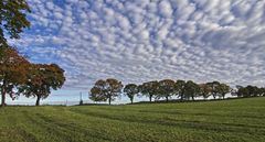 Als der Herbst begann