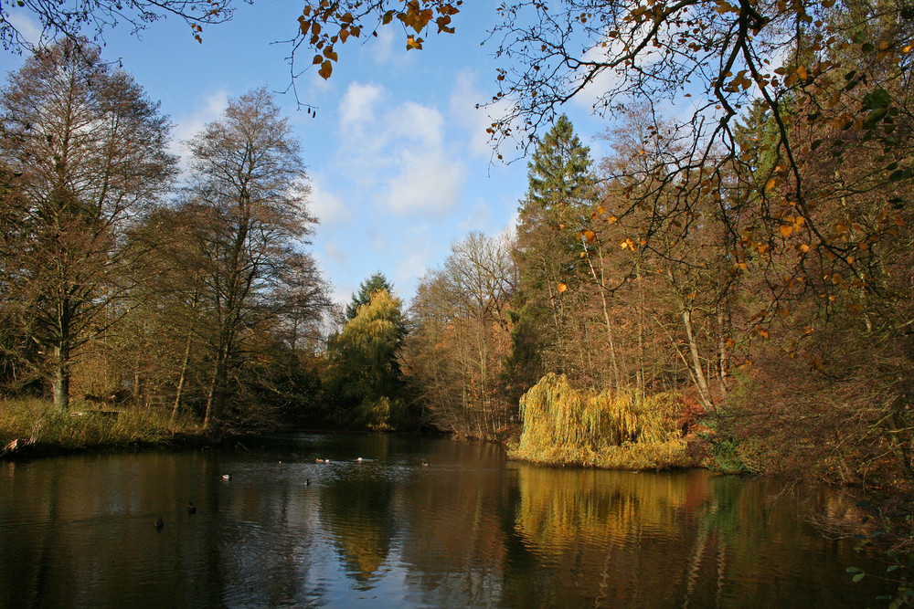 Als der Herbst kraftloser wurde