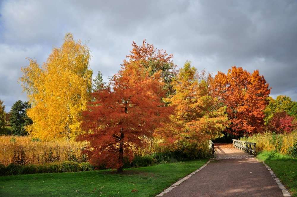 Als der Herbst noch am schönsten war.....