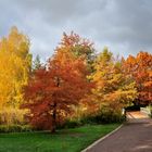 Als der Herbst noch am schönsten war.....