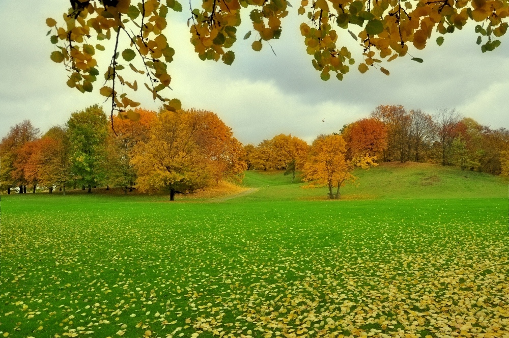 Als der Herbst noch am schönsten war.....