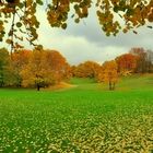 Als der Herbst noch am schönsten war.....