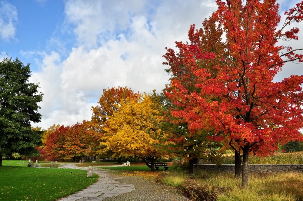 Als der Herbst noch am schönsten war.....