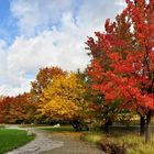 Als der Herbst noch am schönsten war.....