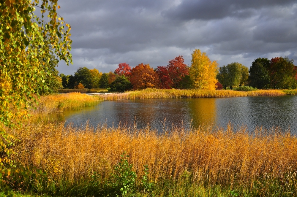 Als der Herbst noch am schönsten war.....