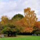 Als der Herbst noch am schönsten war.....