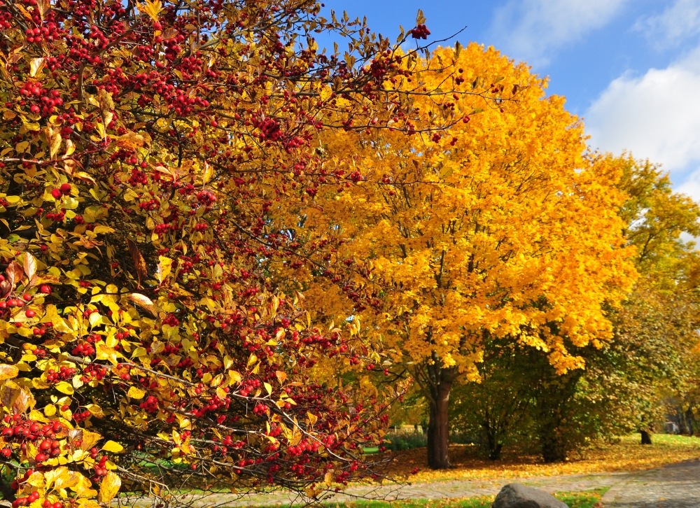 Als der Herbst noch am schönsten war.....