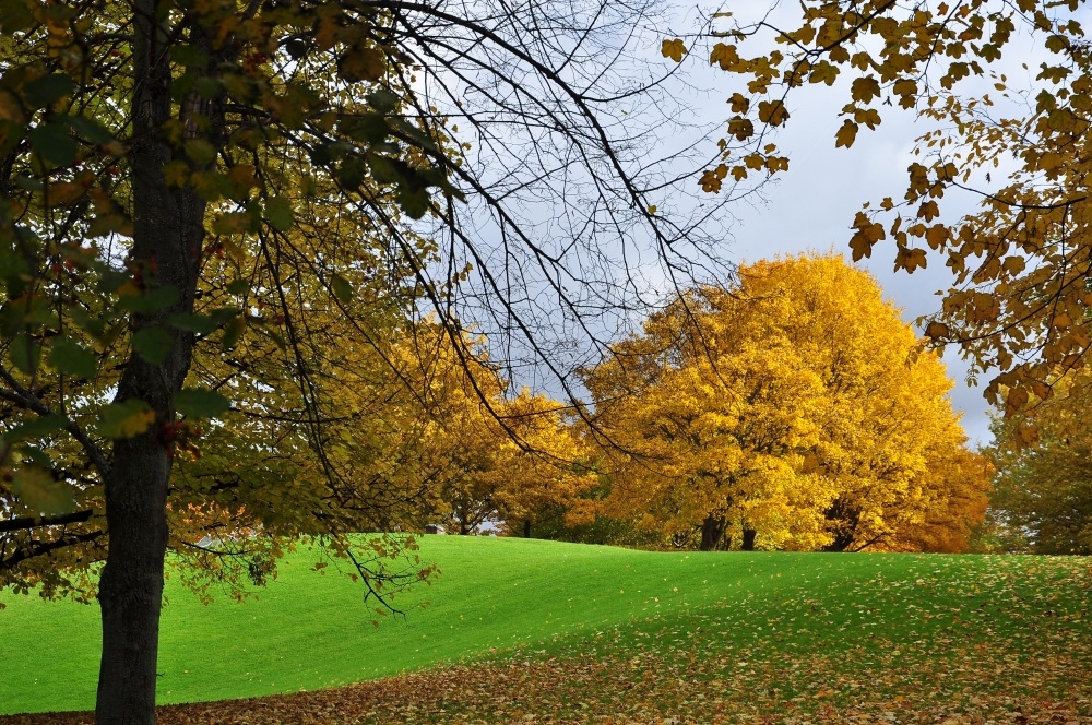 Als der Herbst noch am schönsten war.....