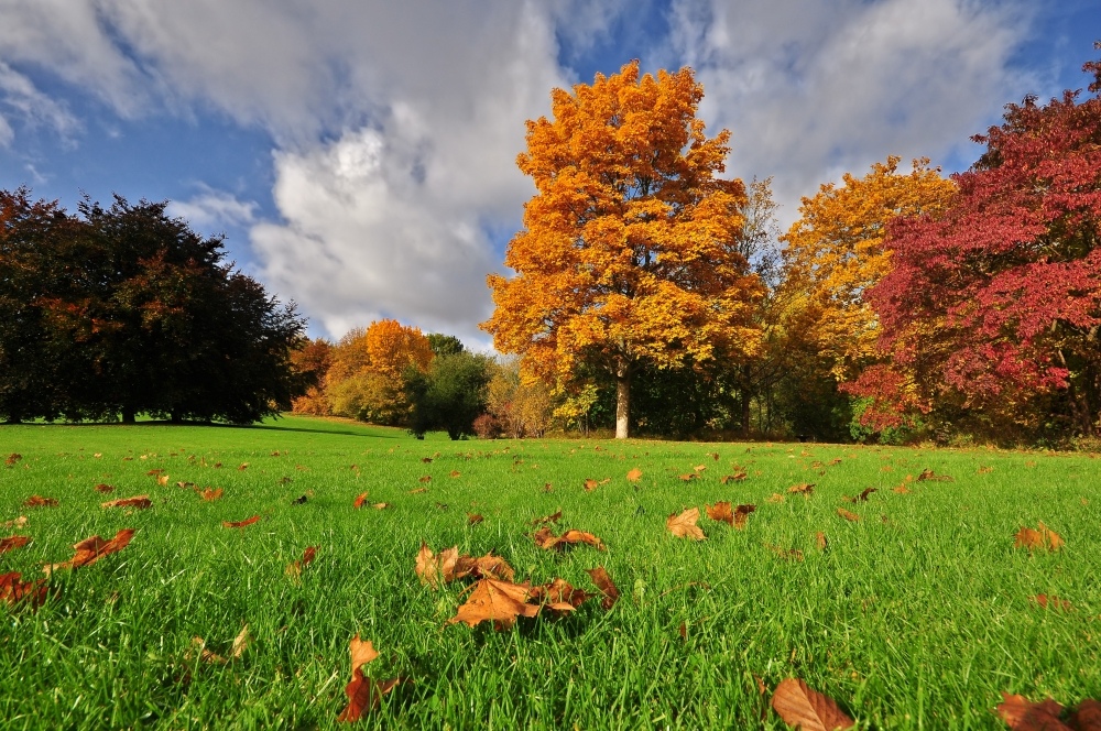 Als der Herbst noch am schönsten war.....