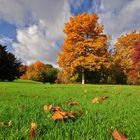 Als der Herbst noch am schönsten war.....