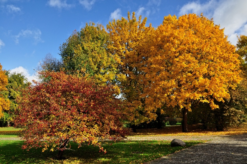 Als der Herbst noch am schönsten war.....