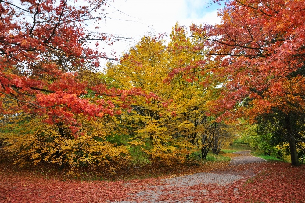 Als der Herbst noch am schönsten war.....