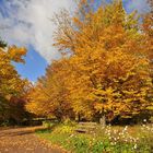 Als der Herbst noch am schönsten war.....