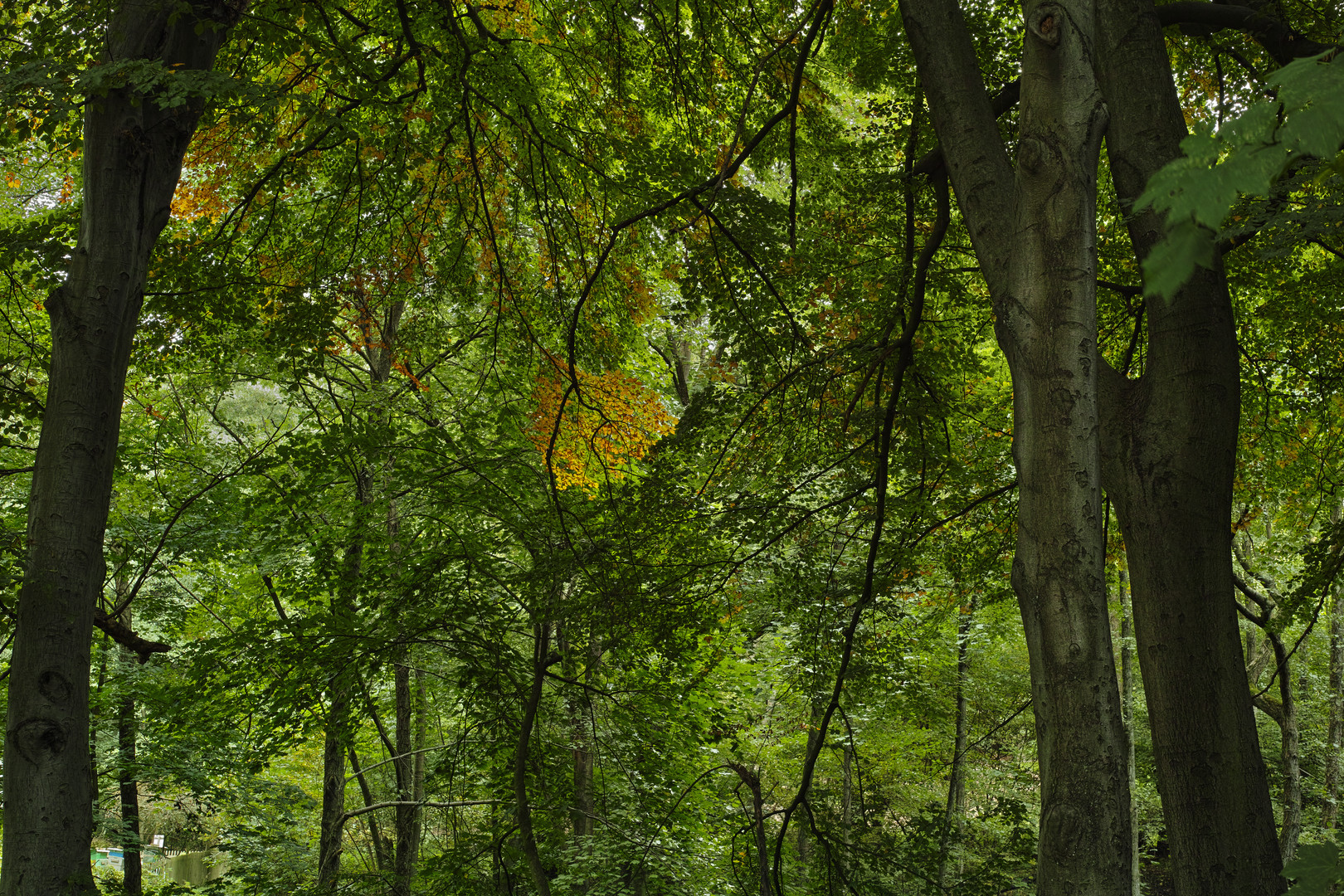 Als der Herbst noch blühte (Teil 10)