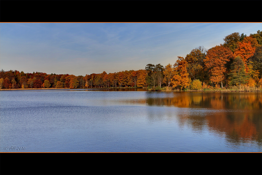 Als der Herbst noch bunt war...